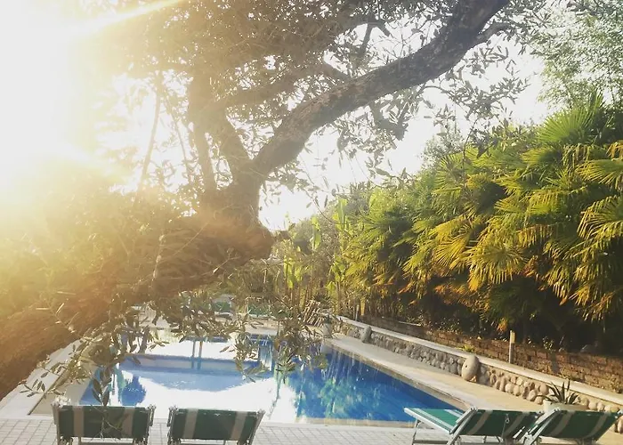 Farm stay Agriturismo Corte Bozzini